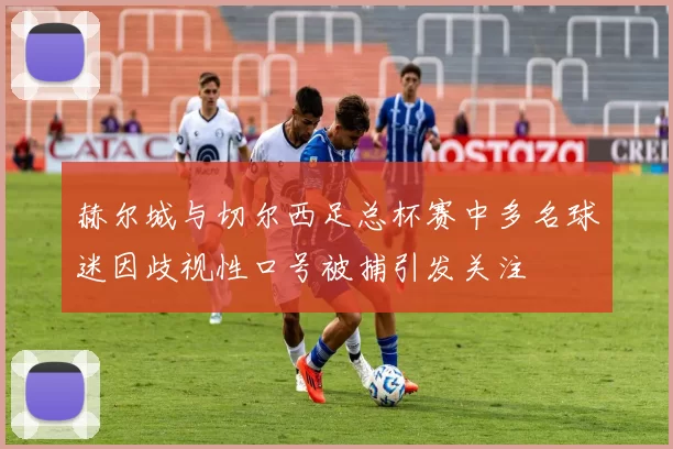 赫尔城与切尔西足总杯赛中多名球迷因歧视性口号被捕引发关注